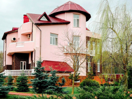 Дом престарелых "Видное-1", Ленинский район